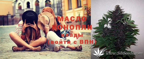крисы Дмитров