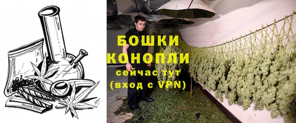 крисы Дмитров