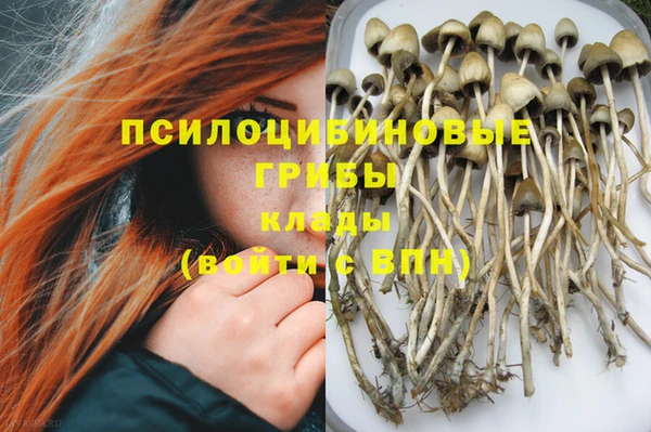 крисы Дмитров