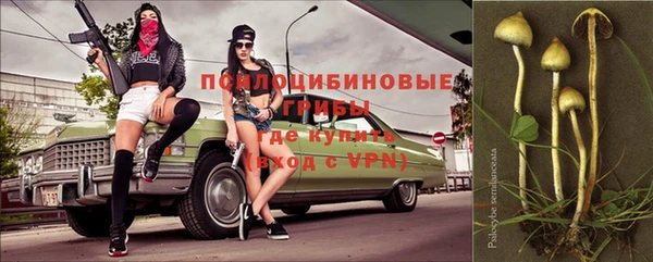 крисы Дмитров