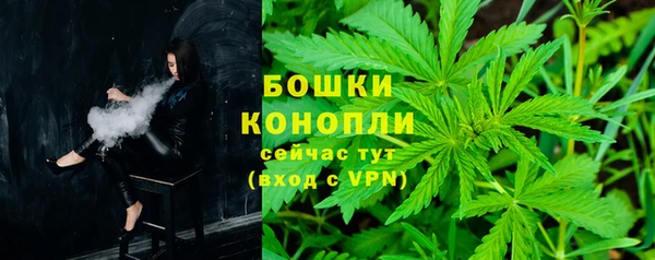 крисы Дмитров