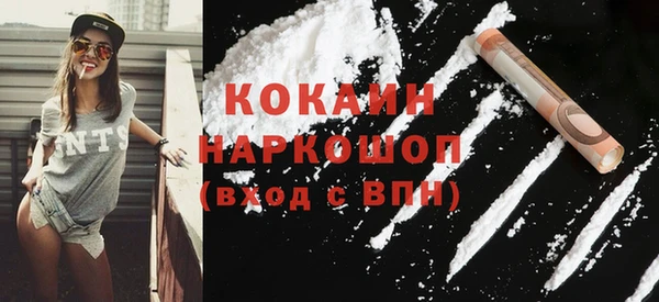дмт Гусев
