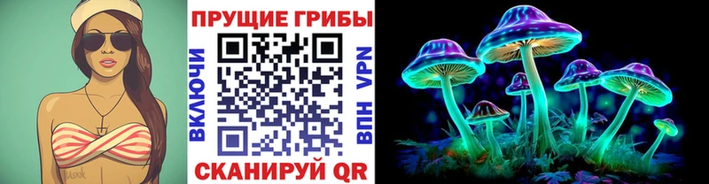 Псилоцибиновые грибы MAGIC MUSHROOMS  hydra tor  Новомосковск 